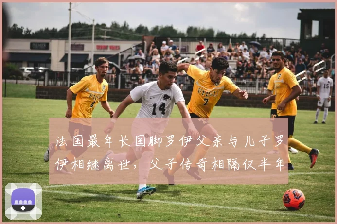 法国最年长国脚罗伊父亲与儿子罗伊相继离世，父子传奇相隔仅半年引关注